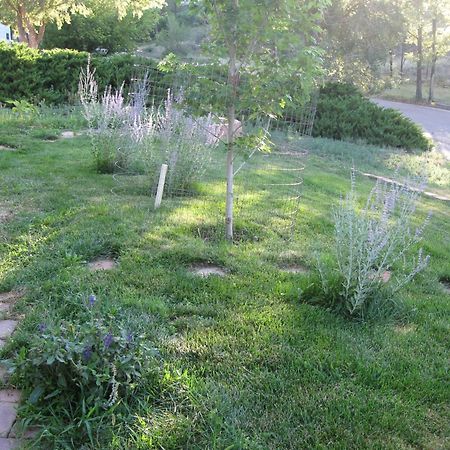 Mystic Portal 420 Guesthouse Colorado Springs Exterior foto