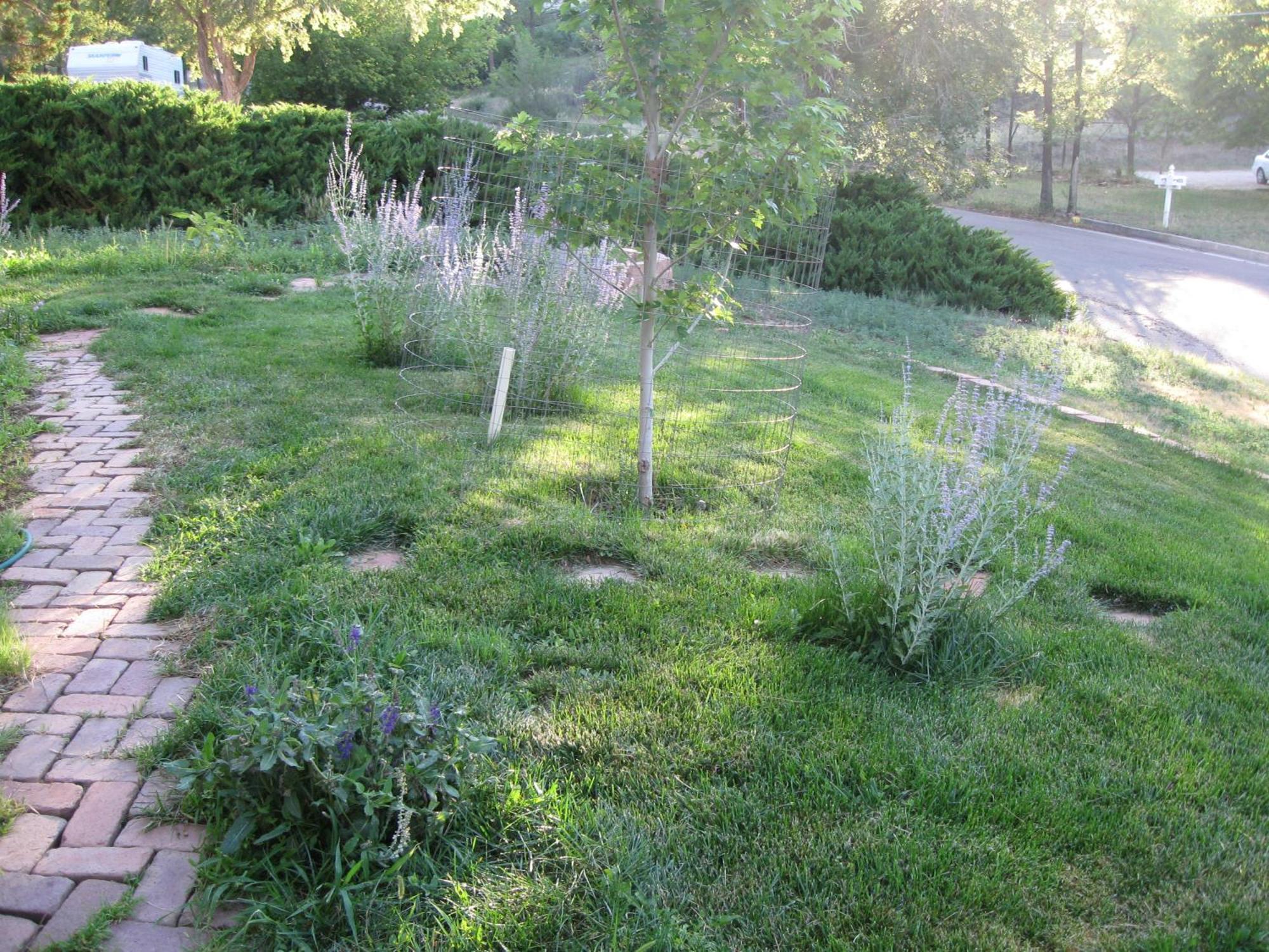 Mystic Portal 420 Guesthouse Colorado Springs Exterior foto